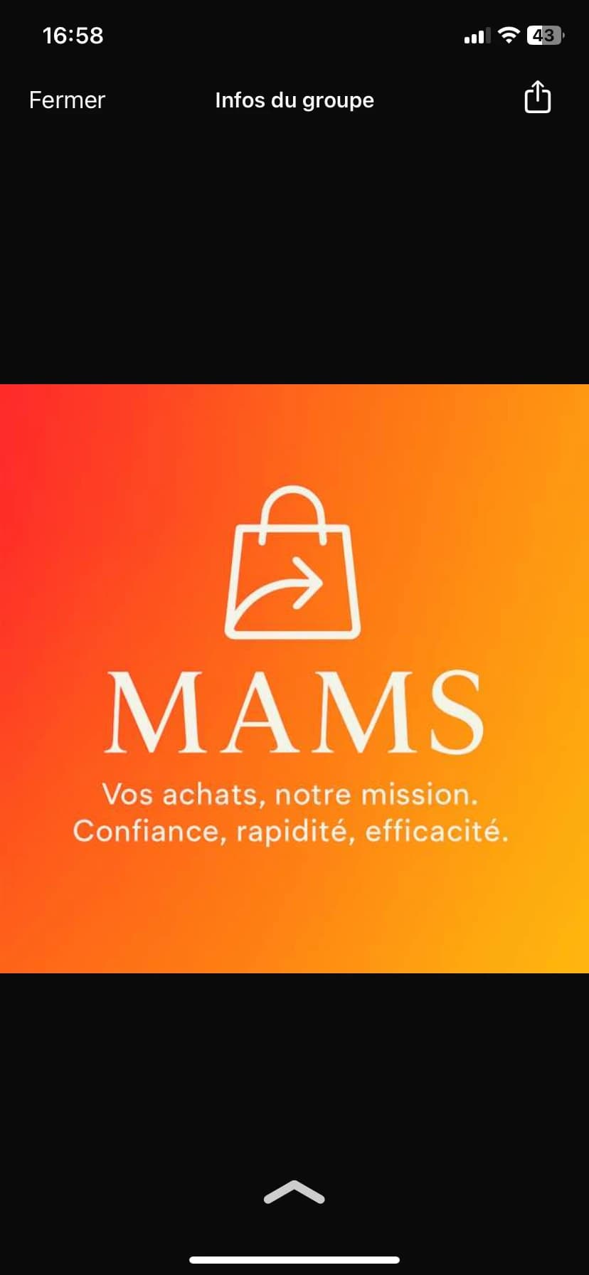 Logo mams boutique