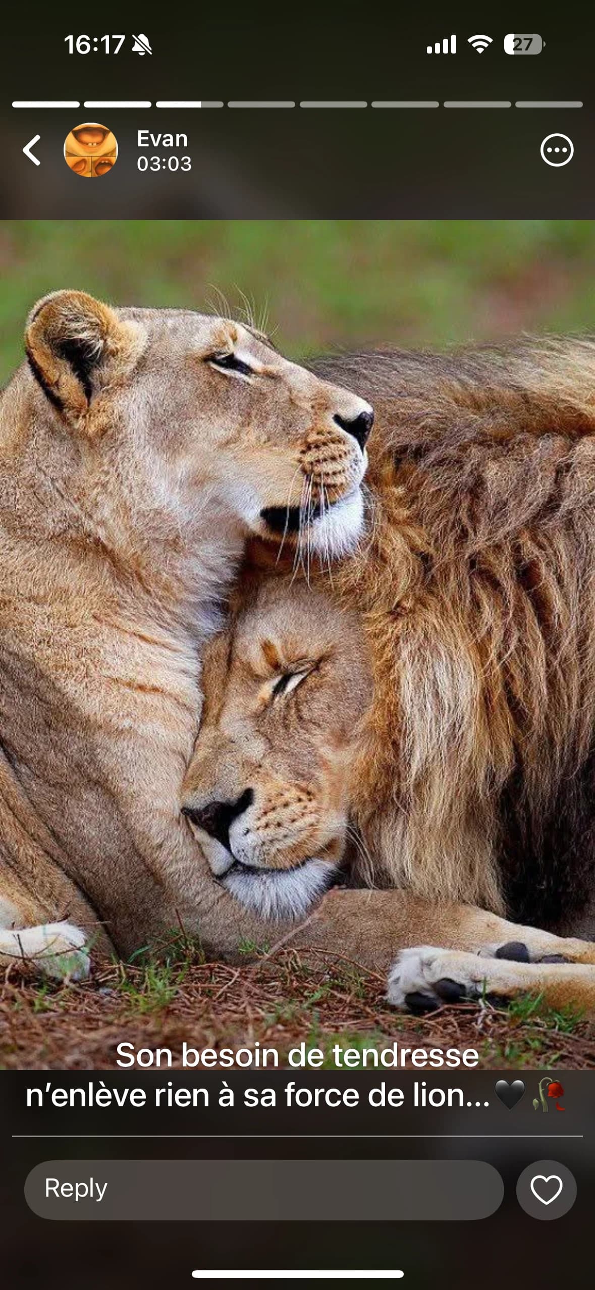 Logo Lion kin